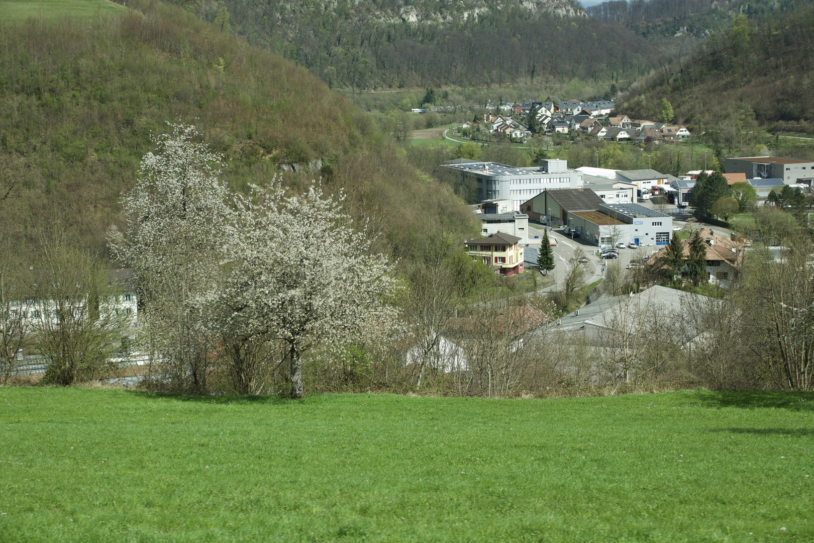 Frühling!