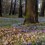 Frühling ...