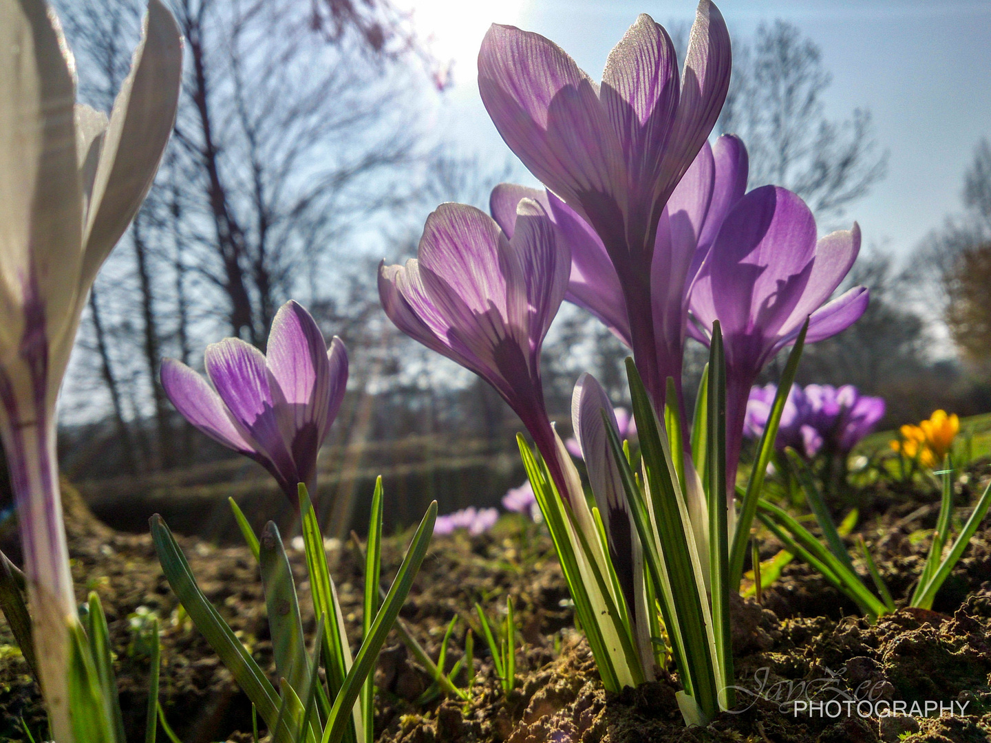 Frühling