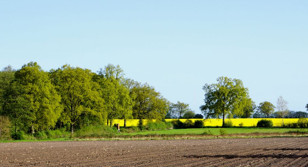 Frühling