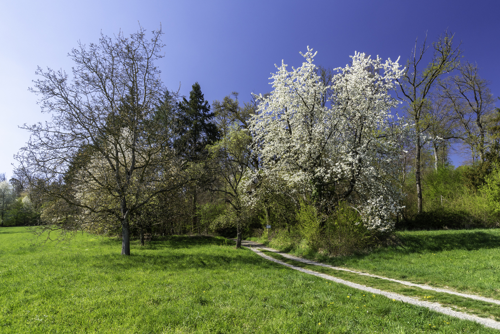 Frühling