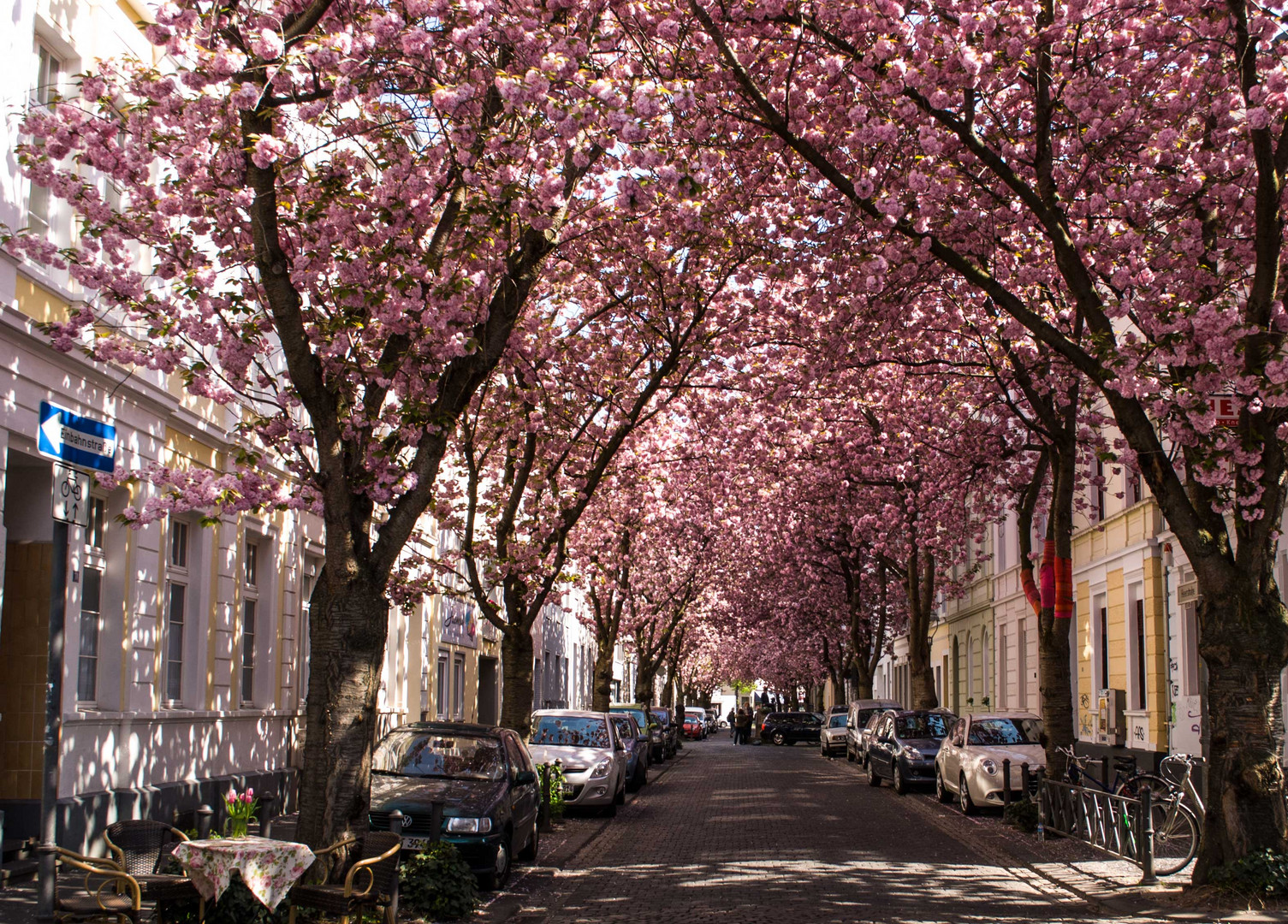 Frühling