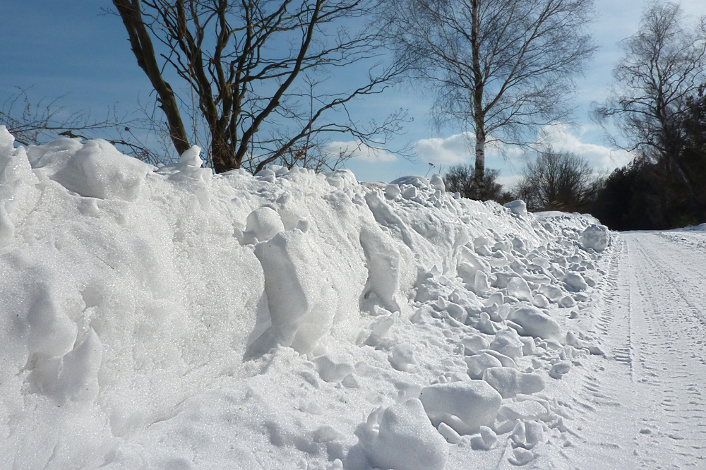 Frühling ????