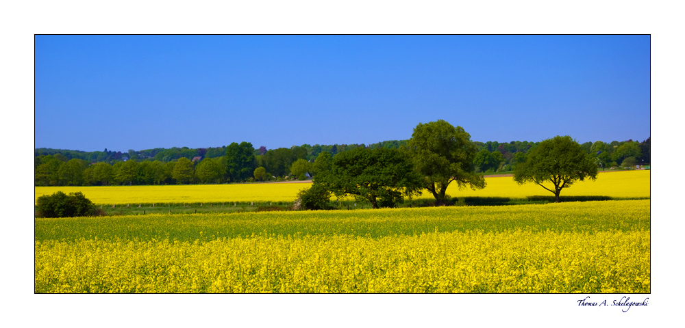 Frühling