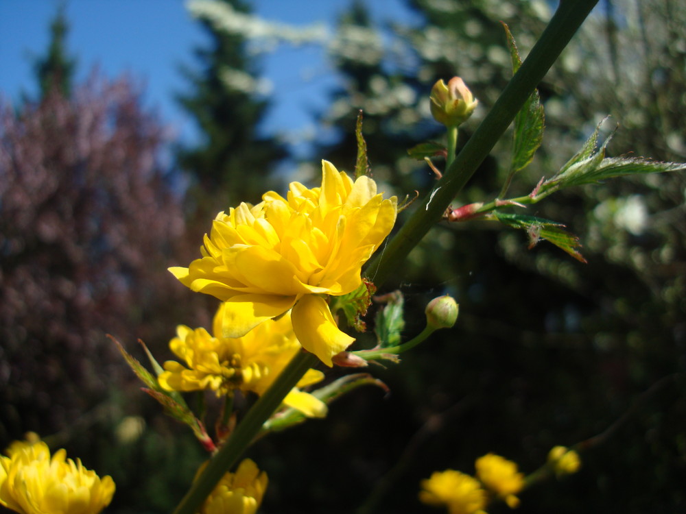 Frühling