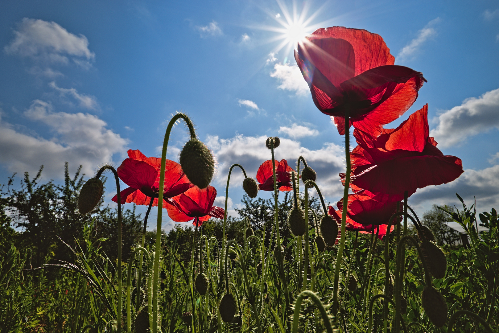 Frühling