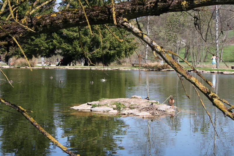 Frühling