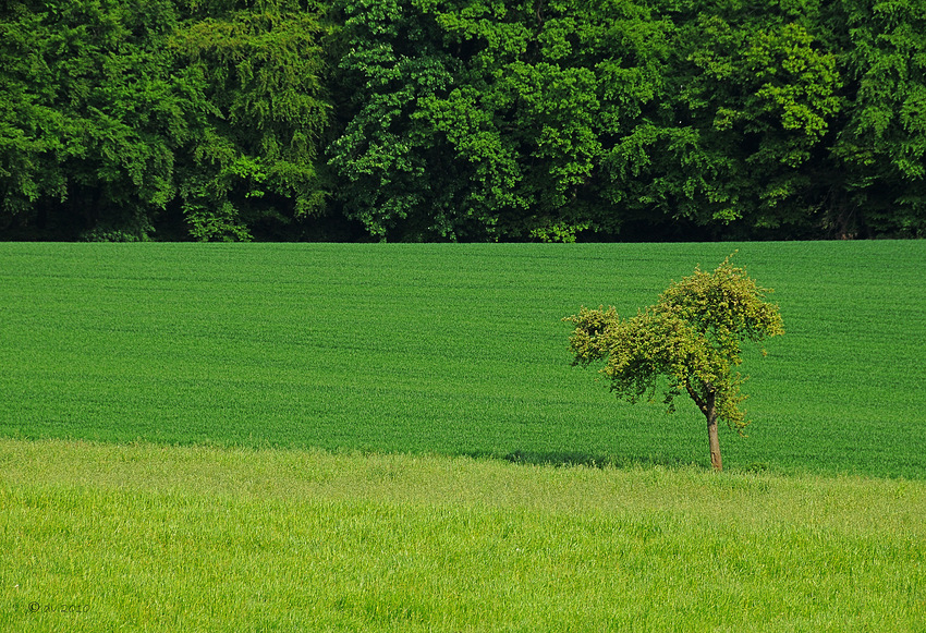 Frühling