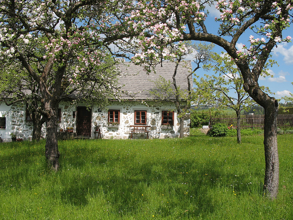 Frühling