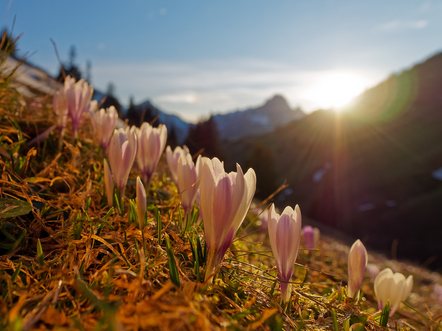 Frühling