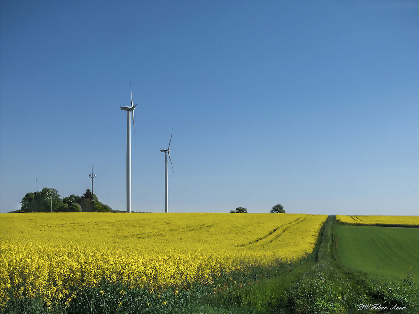 Frühling