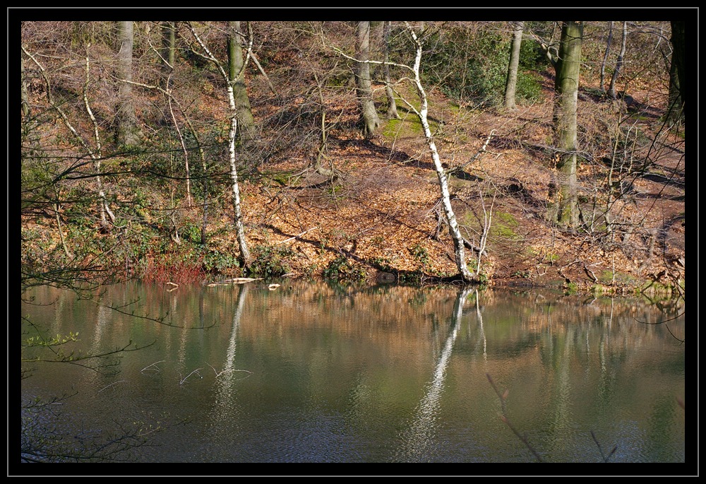 Frühling