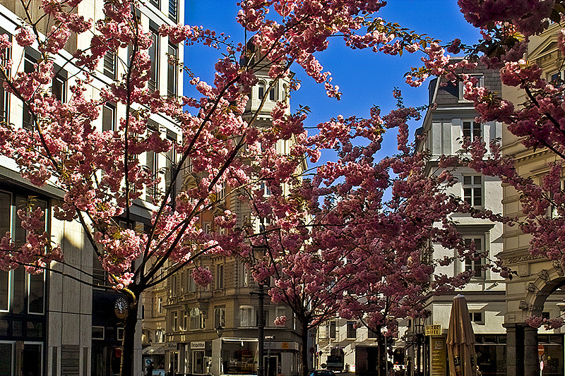 Frühling