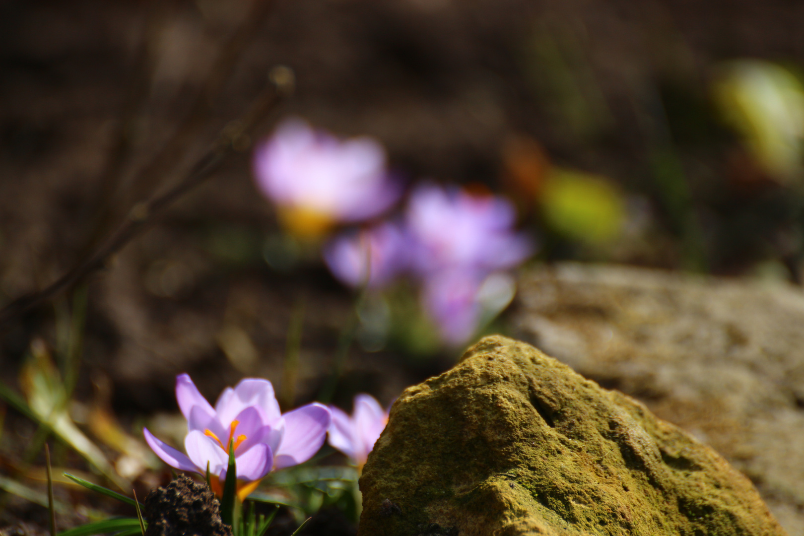 Frühling