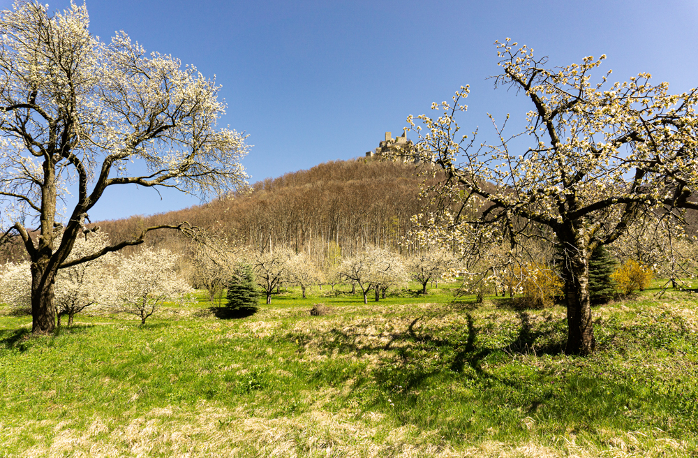 Frühling