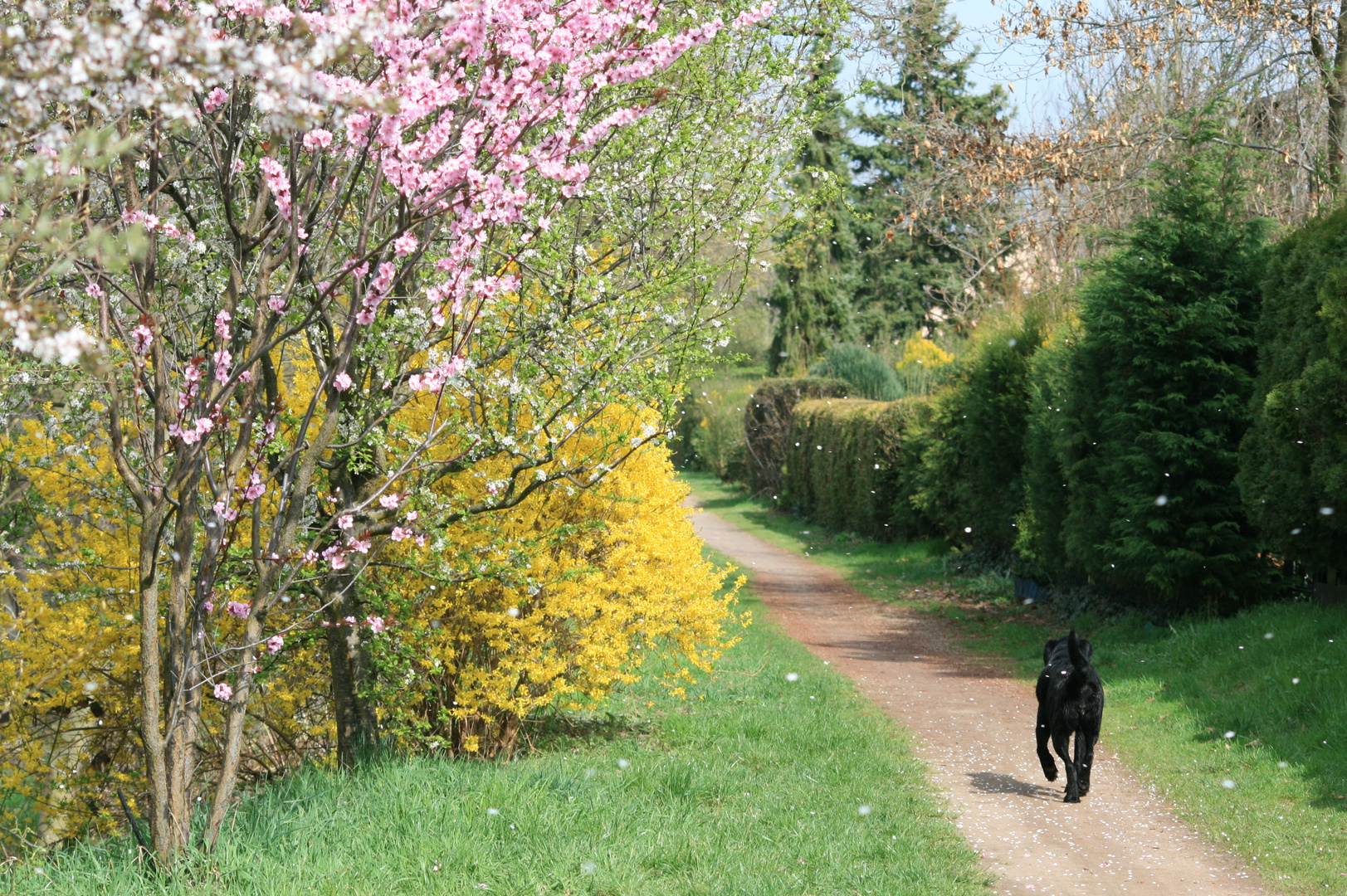 frühling