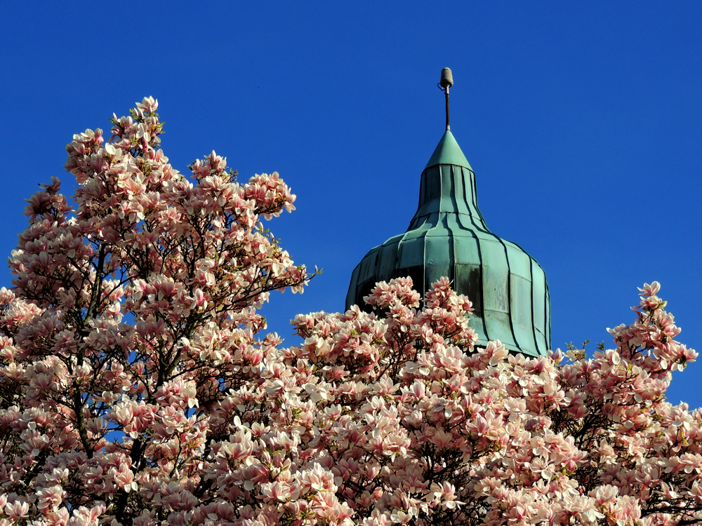 Frühling