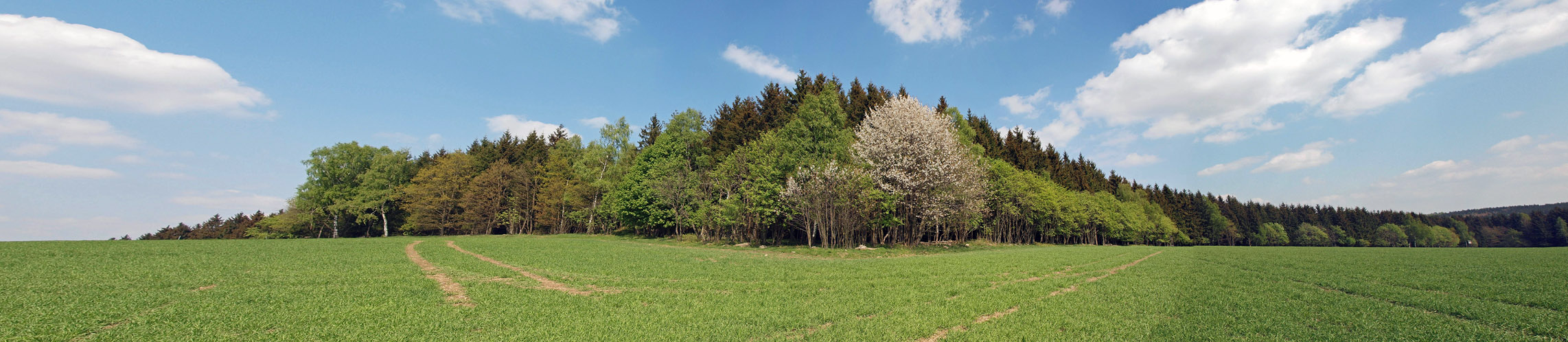 Frühling