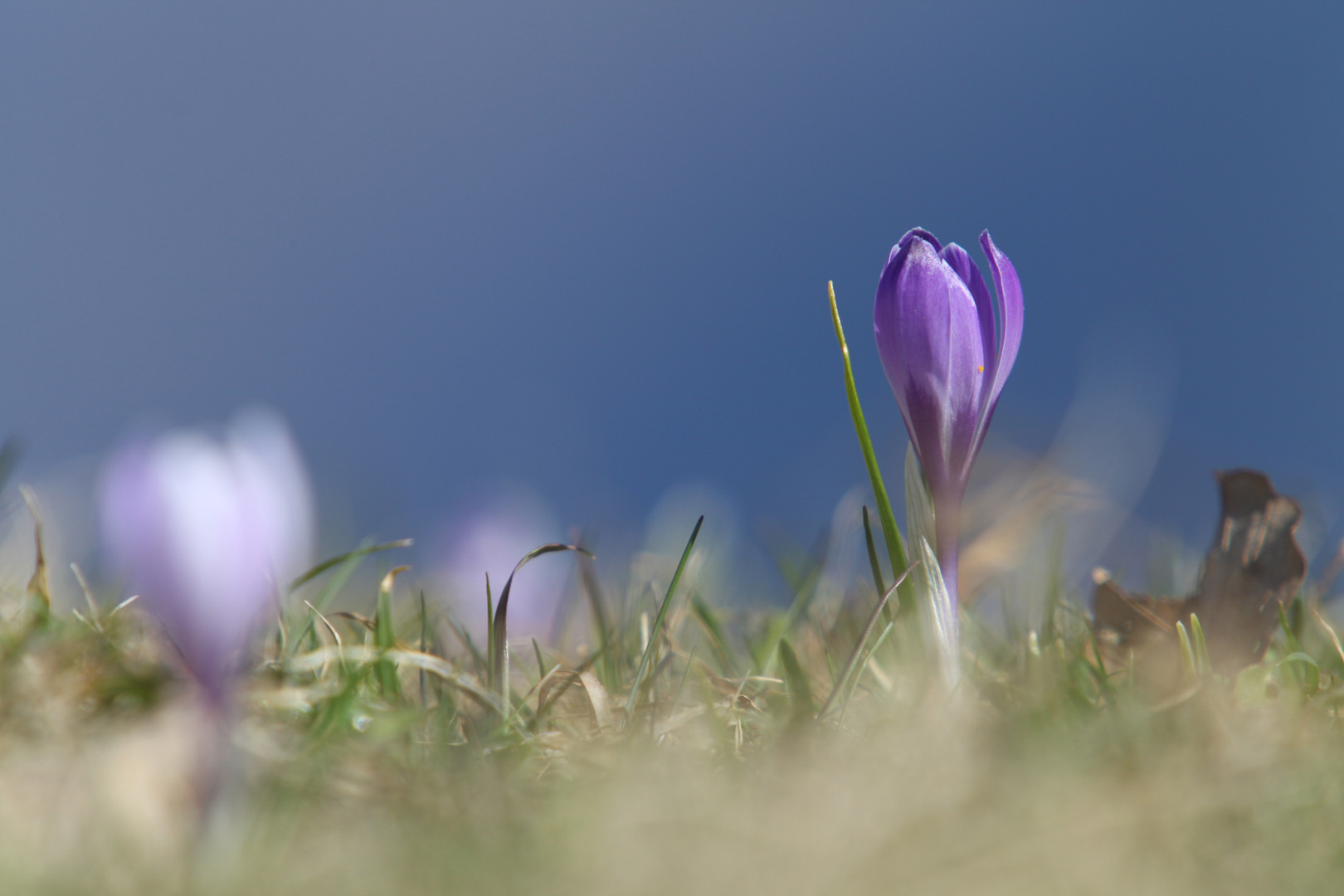 Frühling