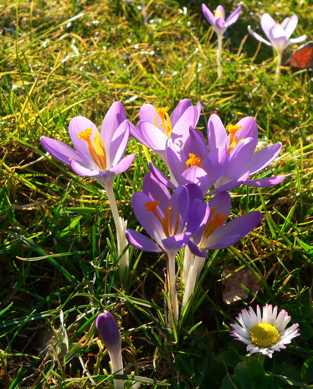 Frühling