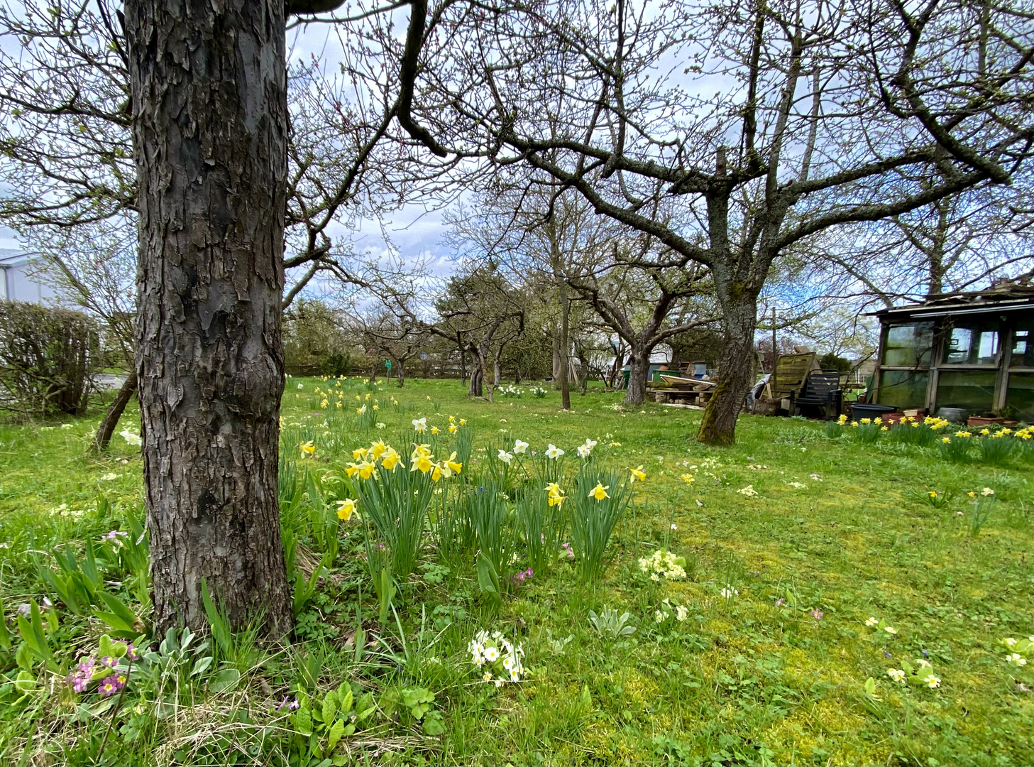 Frühling 