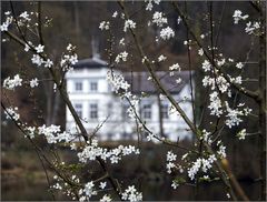 Frühling....