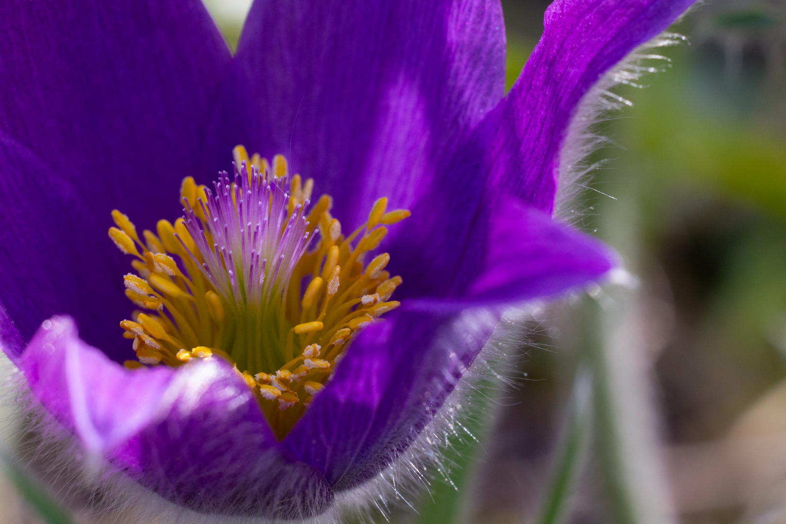 Frühling 