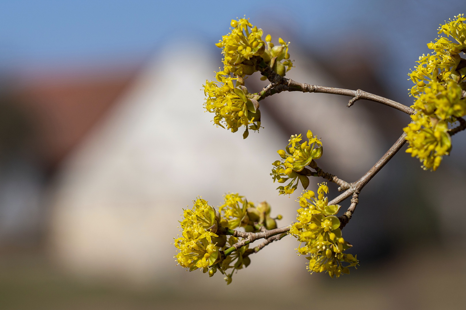 Frühling