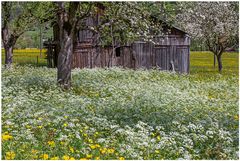 Frühling