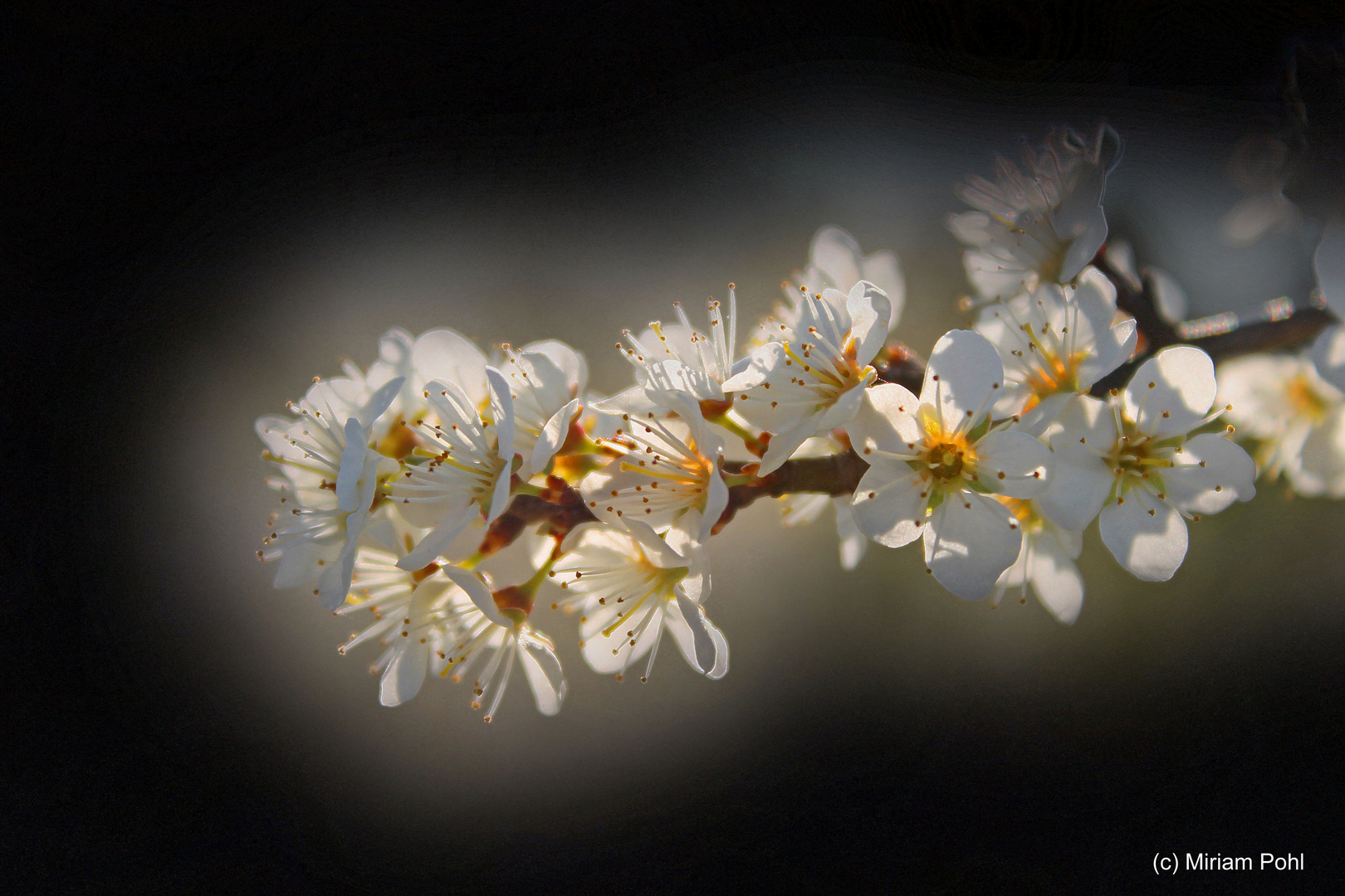 Frühling