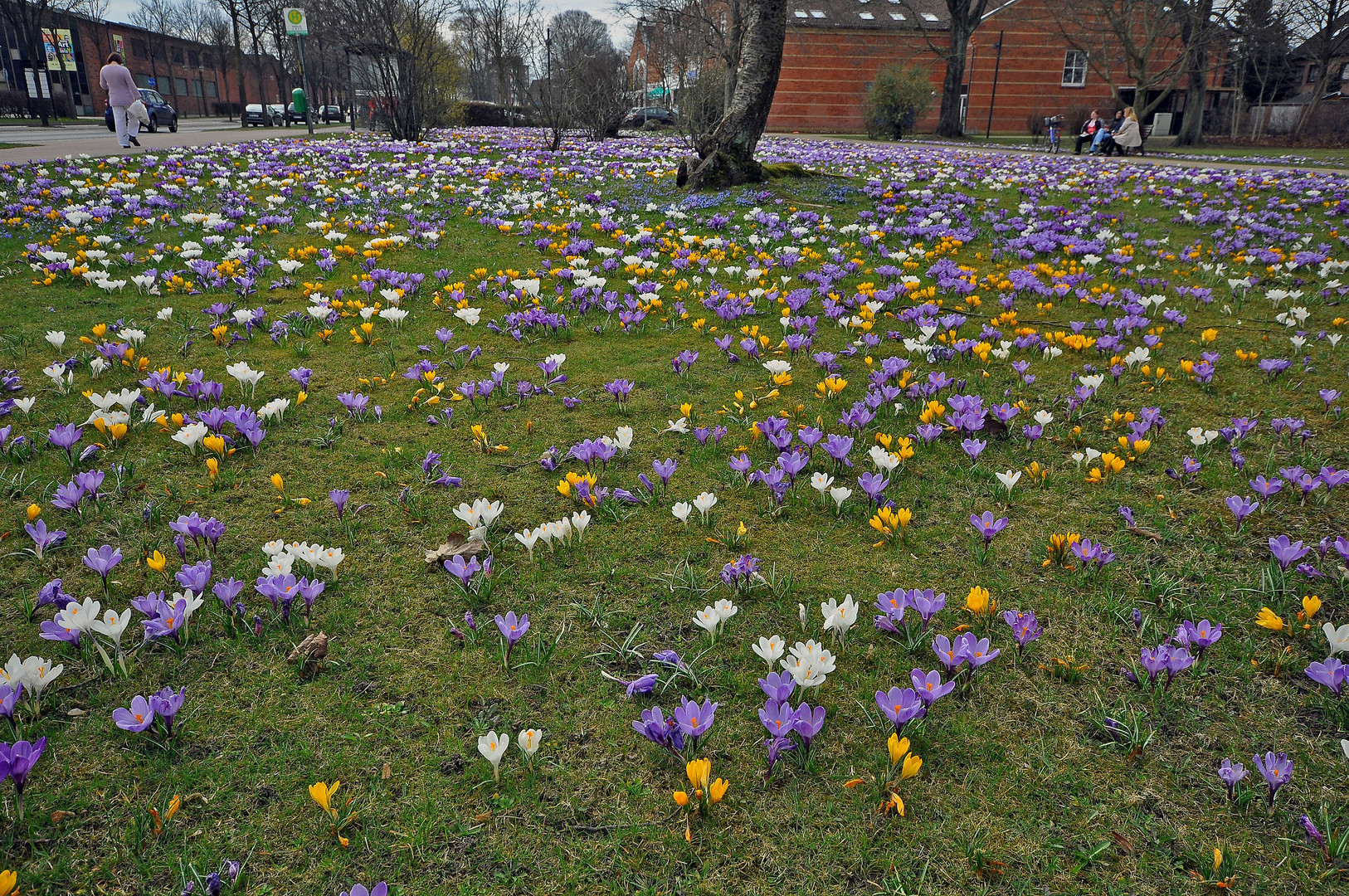 Frühling !