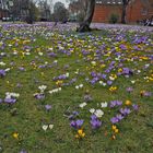 Frühling !