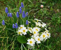 Frühling