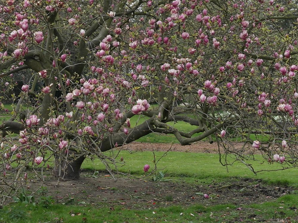 Frühling