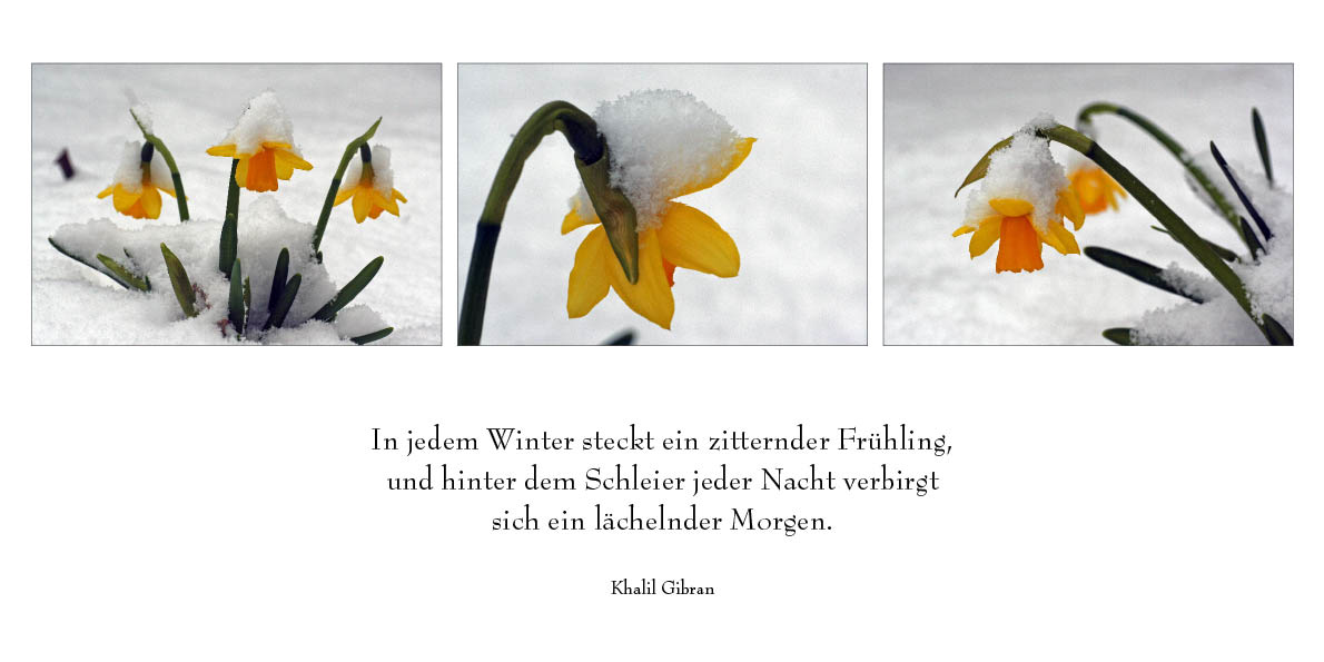 Frühling?