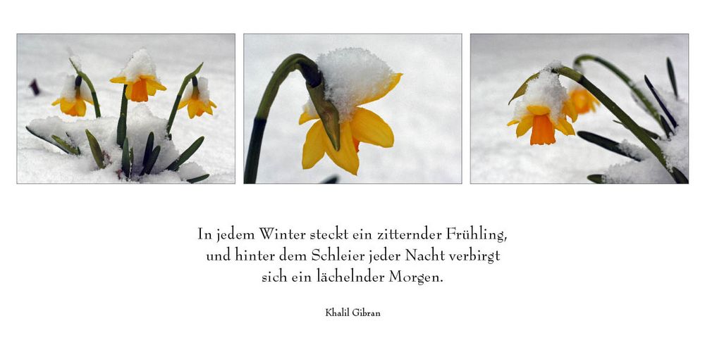 Frühling?