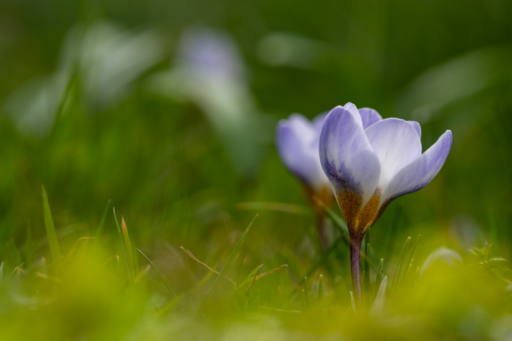 Frühling 