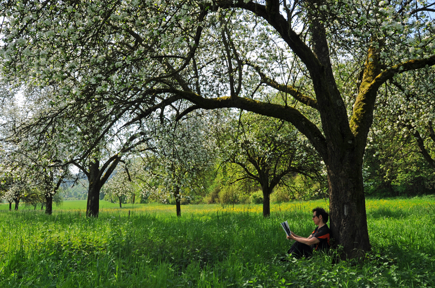 Frühling