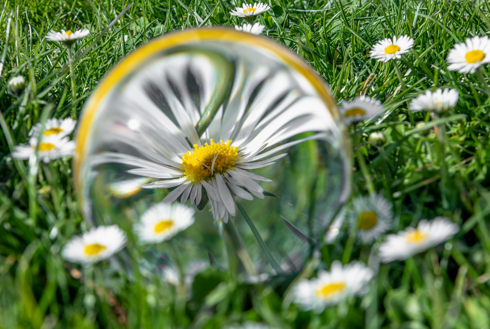 Frühling