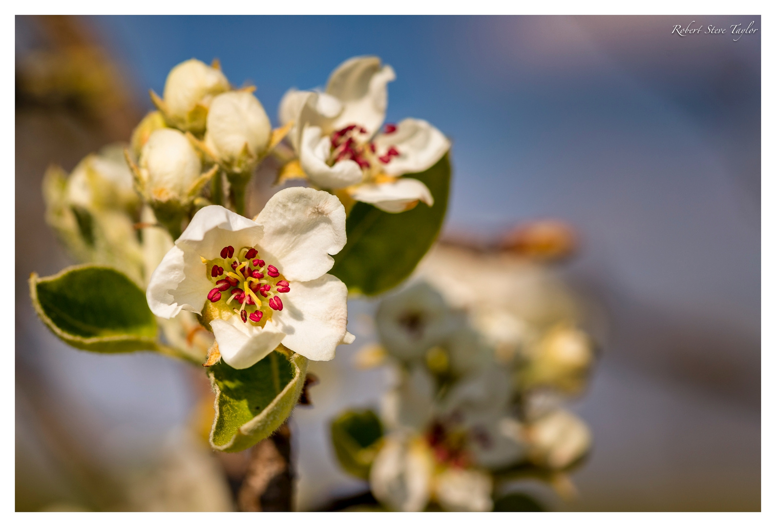 Frühling!