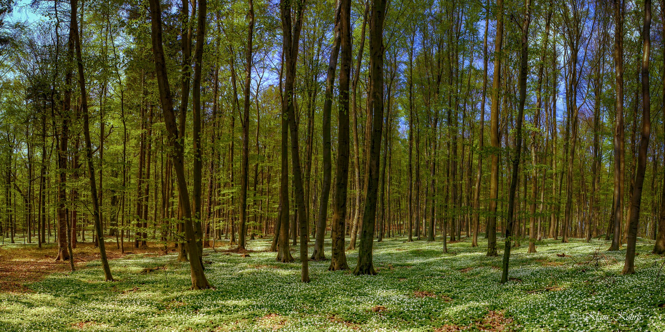 Frühling