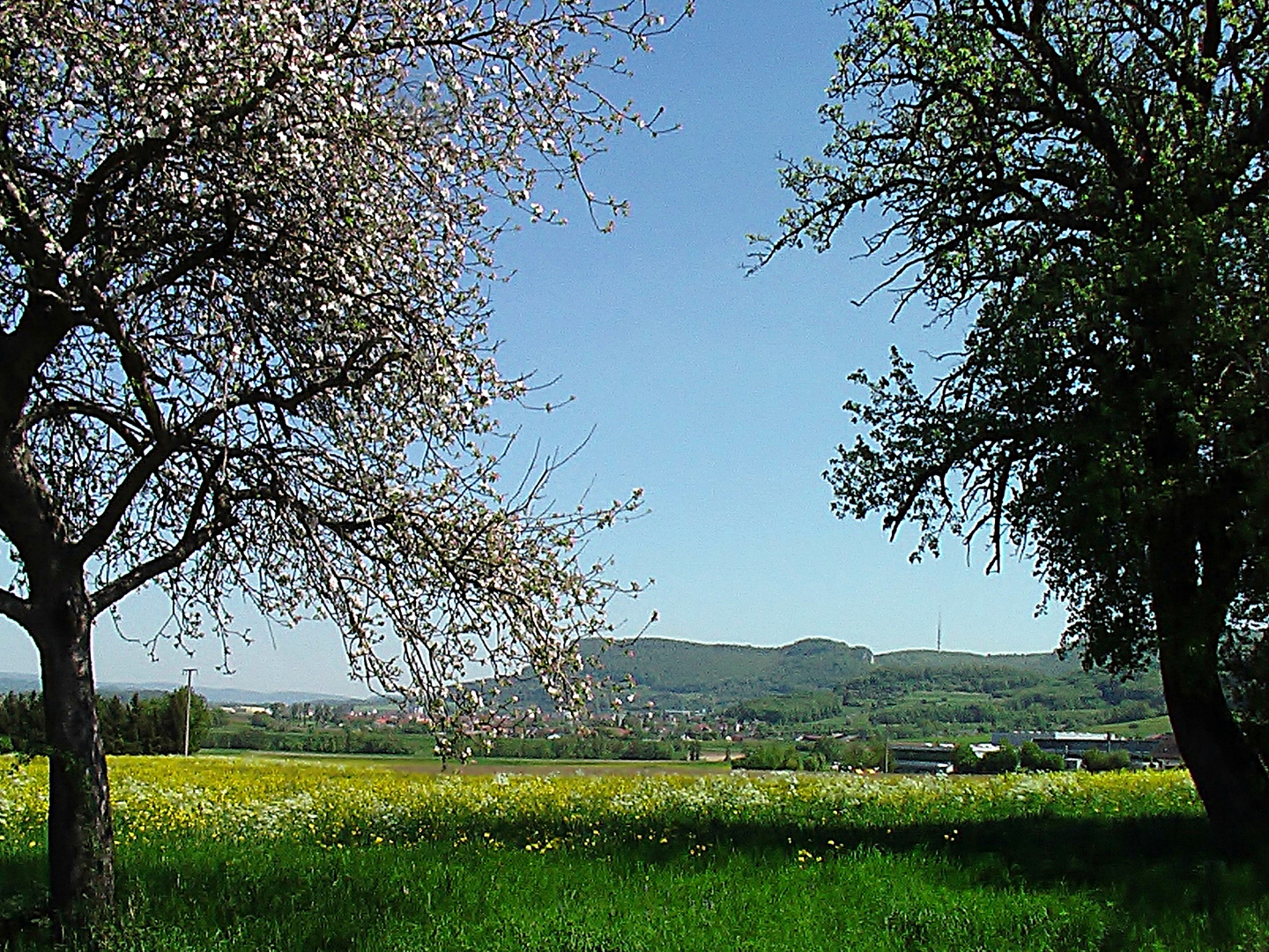 Frühling