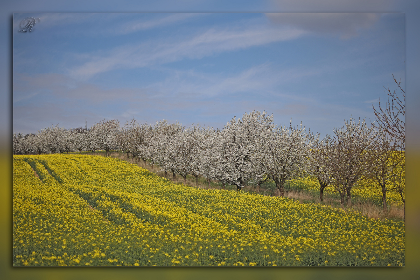 Frühling! :-)