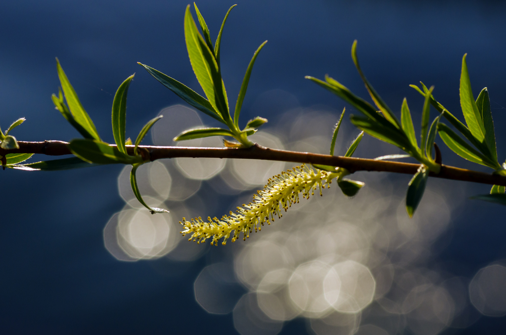 Frühling