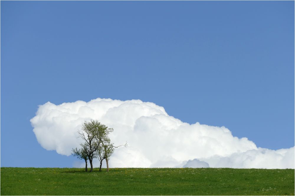 Frühling