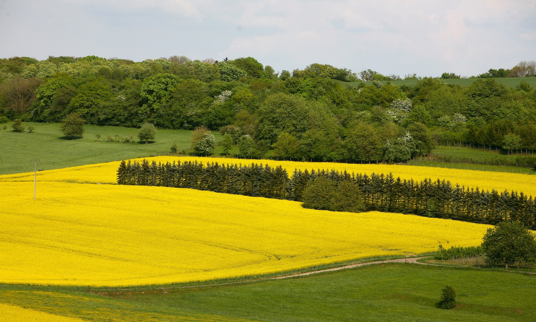 Frühling