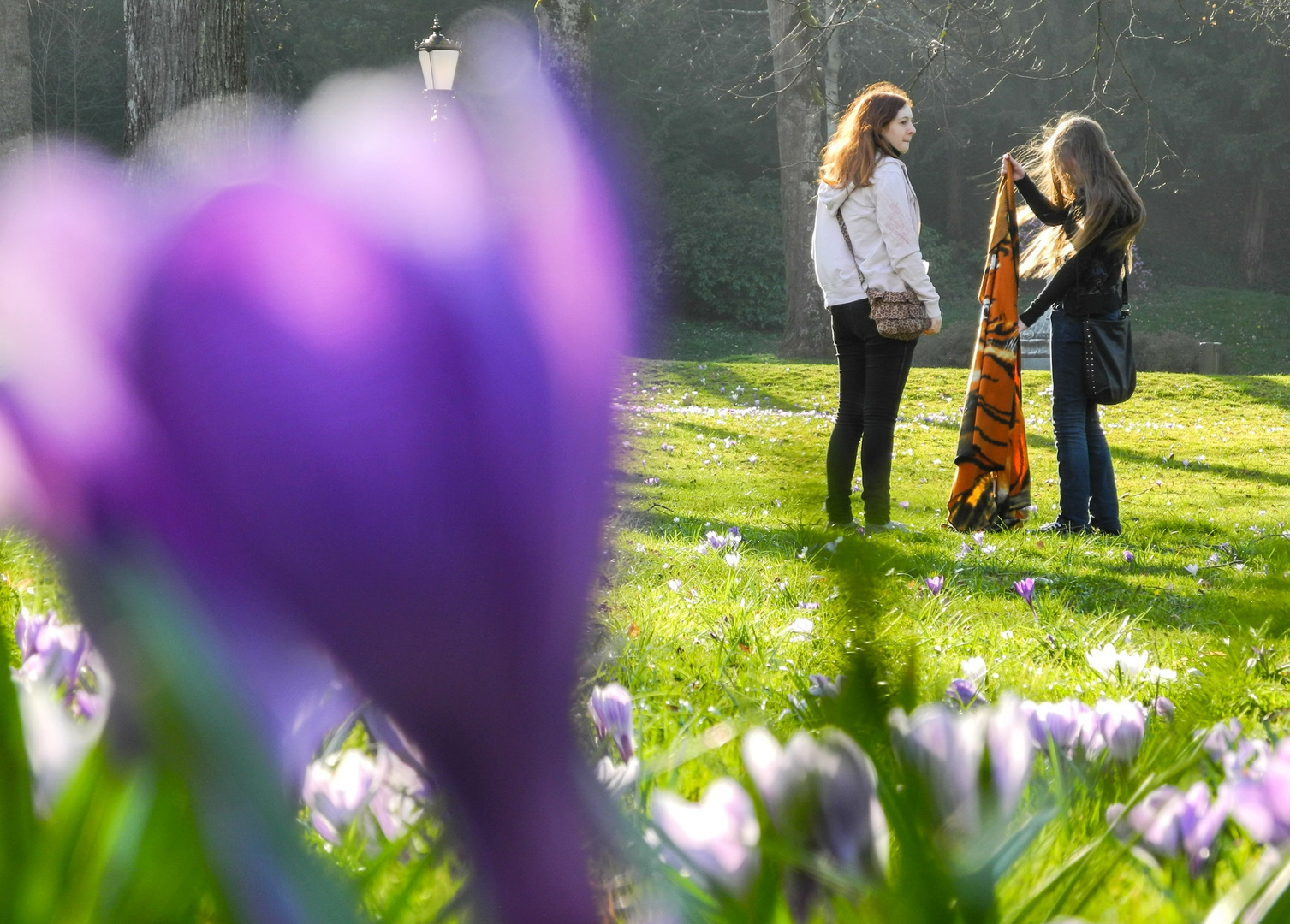 Frühling....