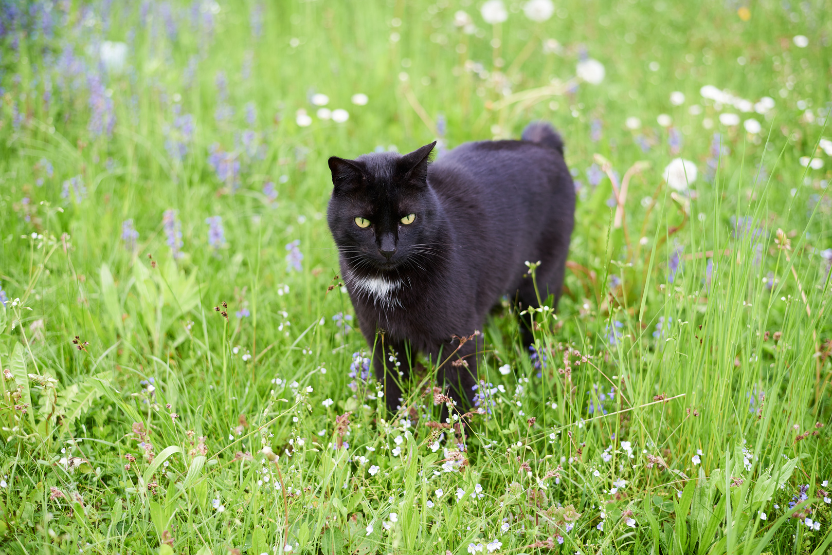 Frühling