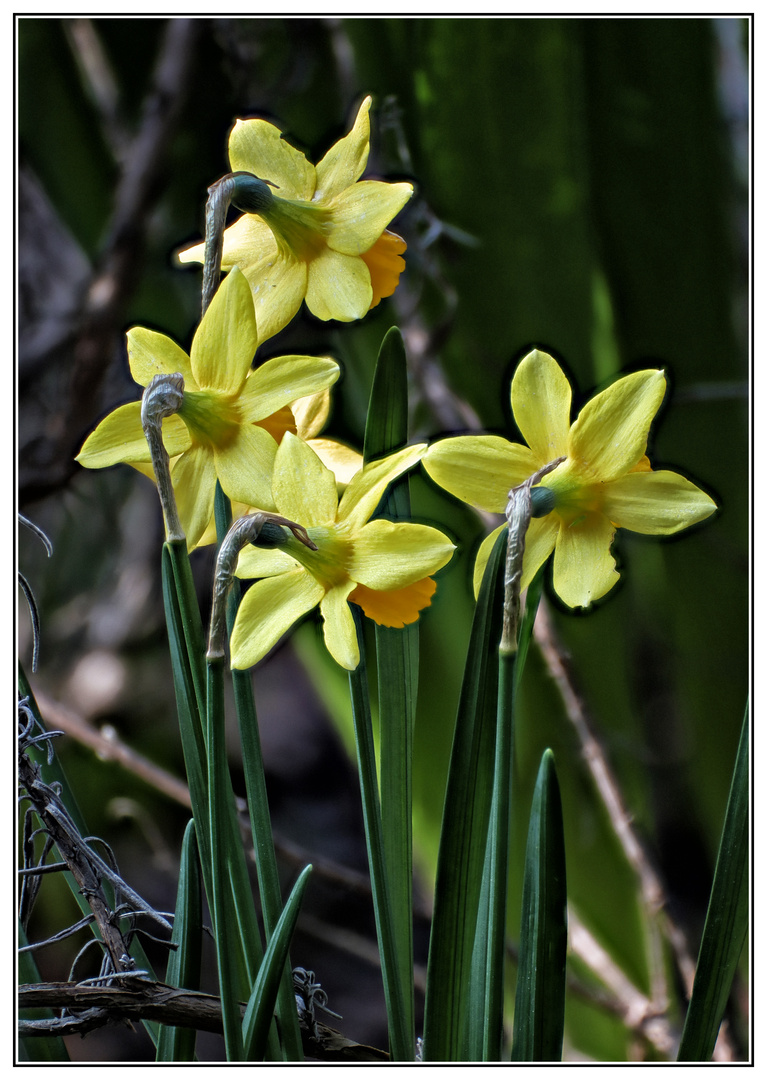 Frühling..