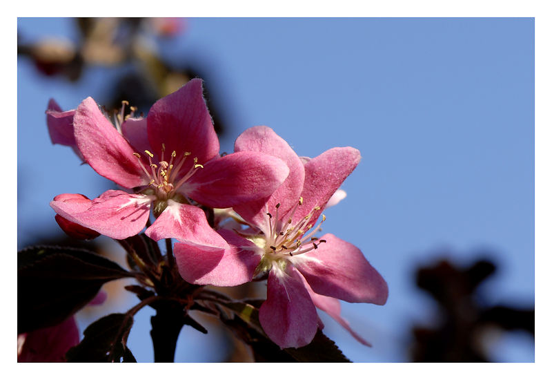 Frühling